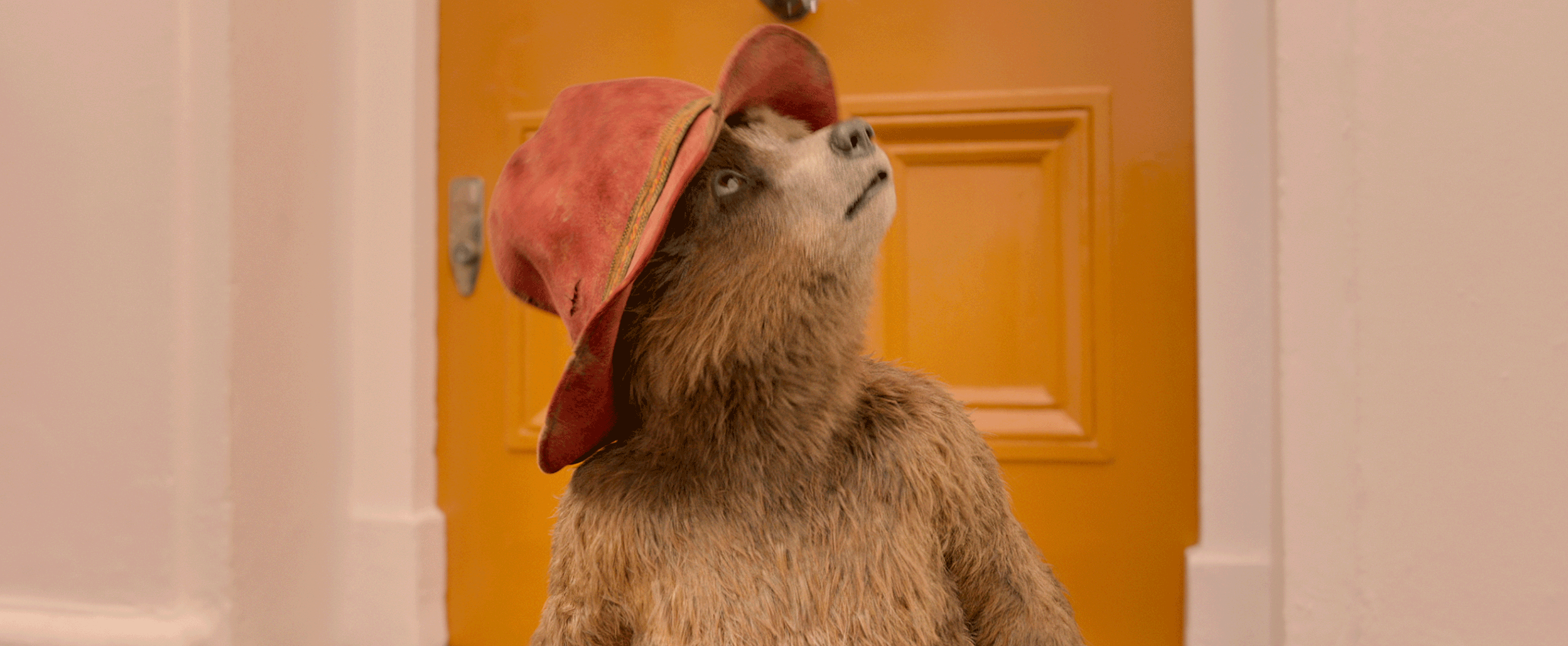 Foto Paddington 2