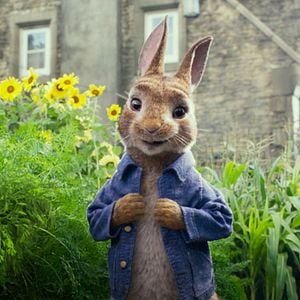 Foto Peter Rabbit