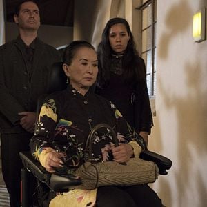 Foto Recién llegados