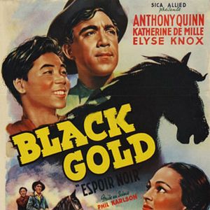 Foto Oro negro