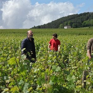 Foto Nuestra vida en la Borgoña