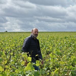 Foto Nuestra vida en la Borgoña