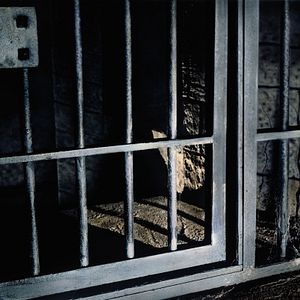 Foto La maldición del hombre lobo