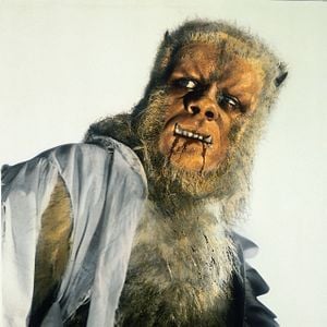 Foto La maldición del hombre lobo