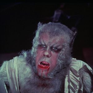 Foto La maldición del hombre lobo
