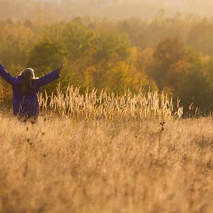 Foto Spoor (El rastro)