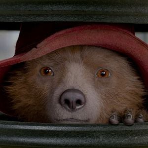 Foto Paddington 2