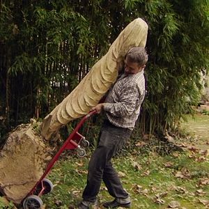 Foto Muchos hijos, un mono y un castillo