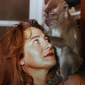 Foto Muchos hijos, un mono y un castillo