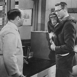 Foto Me siento rejuvenecer