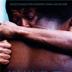 Foto La herida (The Wound)