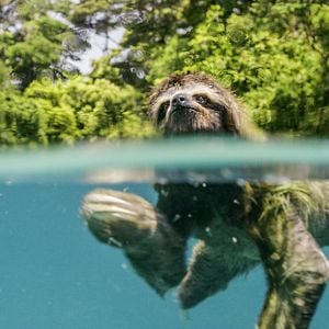 Foto Earth: One Amazing Day