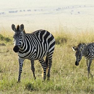 Foto Earth: One Amazing Day