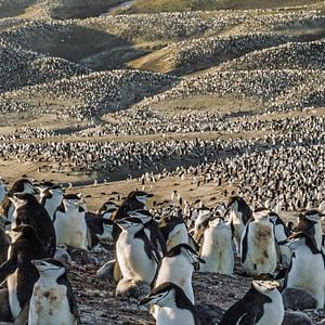 Foto Earth: One Amazing Day