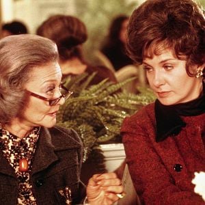 Foto Deseos de verano, sueños de invierno