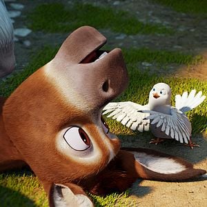 Foto Se armó el Belén