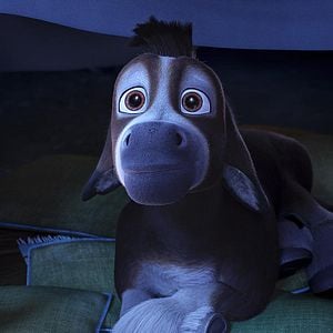 Foto Se armó el Belén