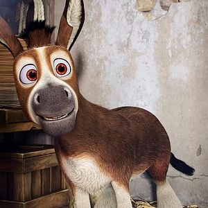 Foto Se armó el Belén