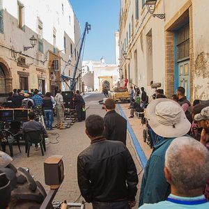 Foto Tiger está vivo