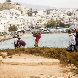 Foto Tiger está vivo