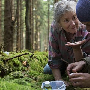 Foto Spoor (El rastro)