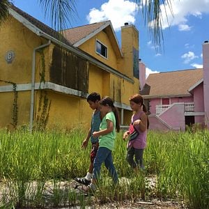 Foto The Florida Project
