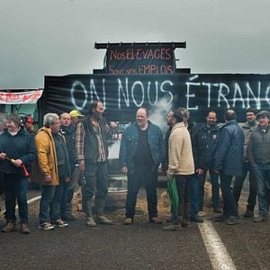 Foto Normandía al desnudo