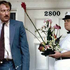 Foto Todo en un día