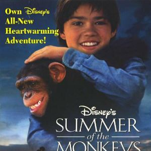 Foto El verano de los monos