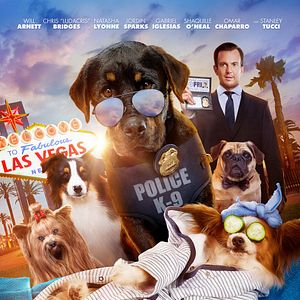 Foto Superagente canino