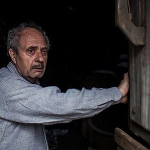 Foto Bajo la piel de lobo