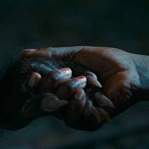 Foto Los buenos modales