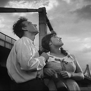 Foto Cuando pasan las cigüeñas