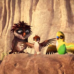 Foto Richard, la cigüeña