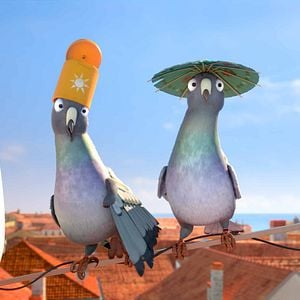 Foto Richard, la cigüeña