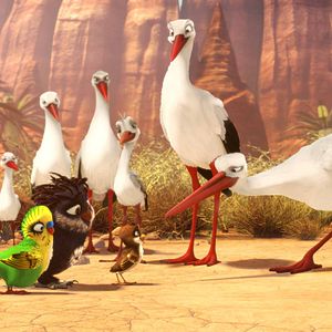 Foto Richard, la cigüeña