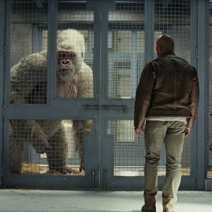 Foto Proyecto Rampage