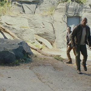 Foto Proyecto Rampage