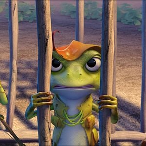 Foto El reino de las ranas. Misión en el Ártico