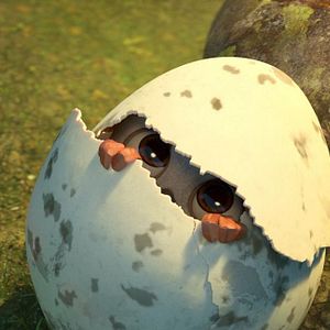 Foto Ploey, nunca volarás solo