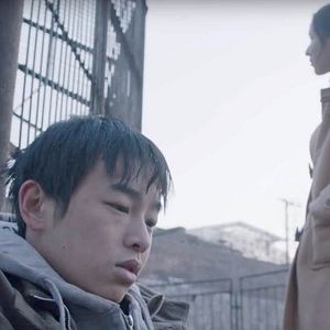 Foto An Elephant Sitting Still