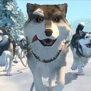 Foto Colmillo blanco