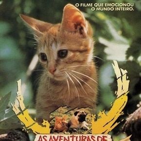 Foto Las aventuras de Chatran