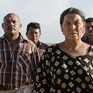 Foto Pájaros de Verano