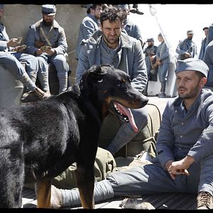 Foto Nicolas Duvauchelle