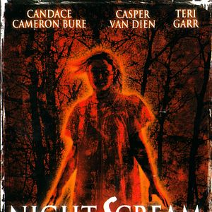 Foto Un grito en la noche