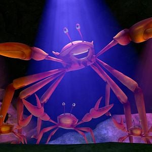 Foto Capitán Sharky