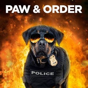 Foto Superagente canino