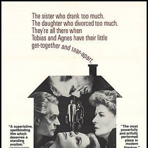 Foto Un delicado equilibrio