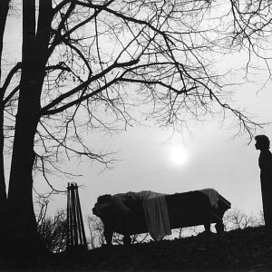 Foto Los niños terribles